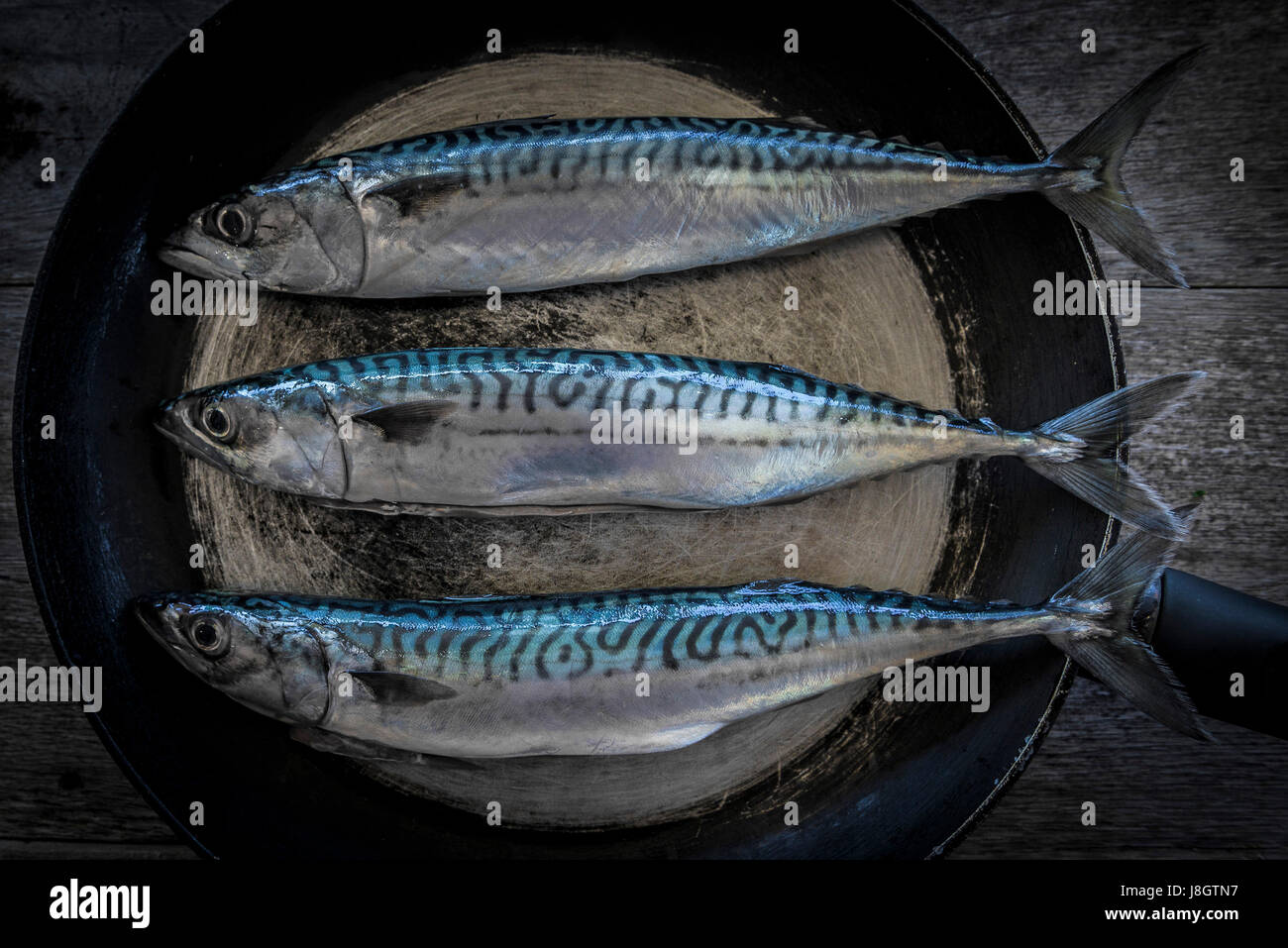 An overhead view of three mackerel in a skillet. Stock Photo