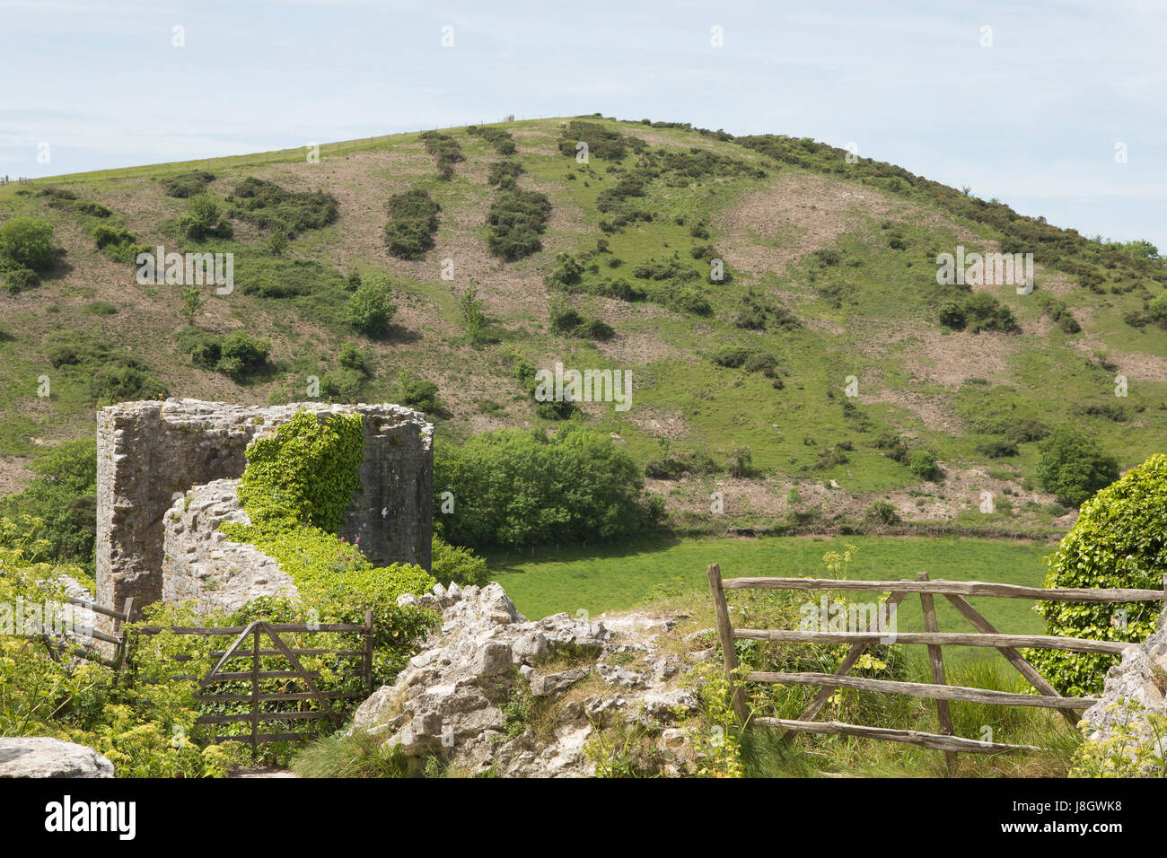 View of a colourful green hill on the Isle of Purbeck in Dorset. Stock Photo