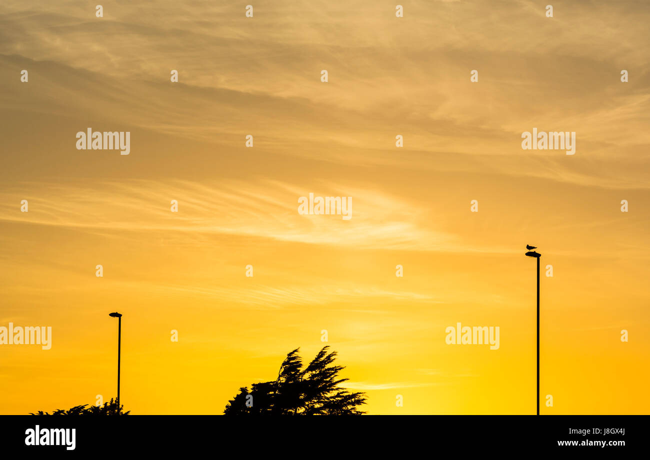 Orange sky in late evening after the sun has set. Stock Photo
