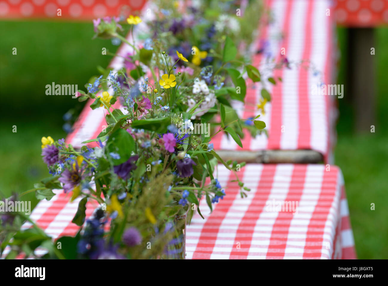 A row of cute little summer bouquets in glass jars standing on top of a couple of tables, decorated with red and white table cloths. Stock Photo