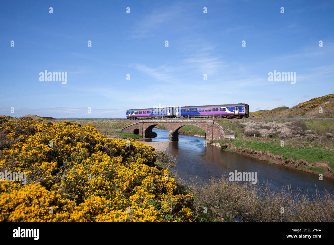 22/04/2017 Northern rail class 156 sprinter crosses the River Ehen at  High Sellafield  with a  Barrow In Furness - Carlisletrain Stock Photo