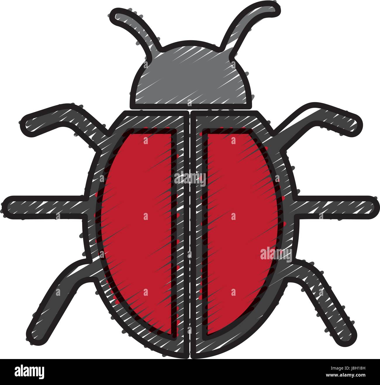 bug insect icon Stock Vector Image & Art - Alamy