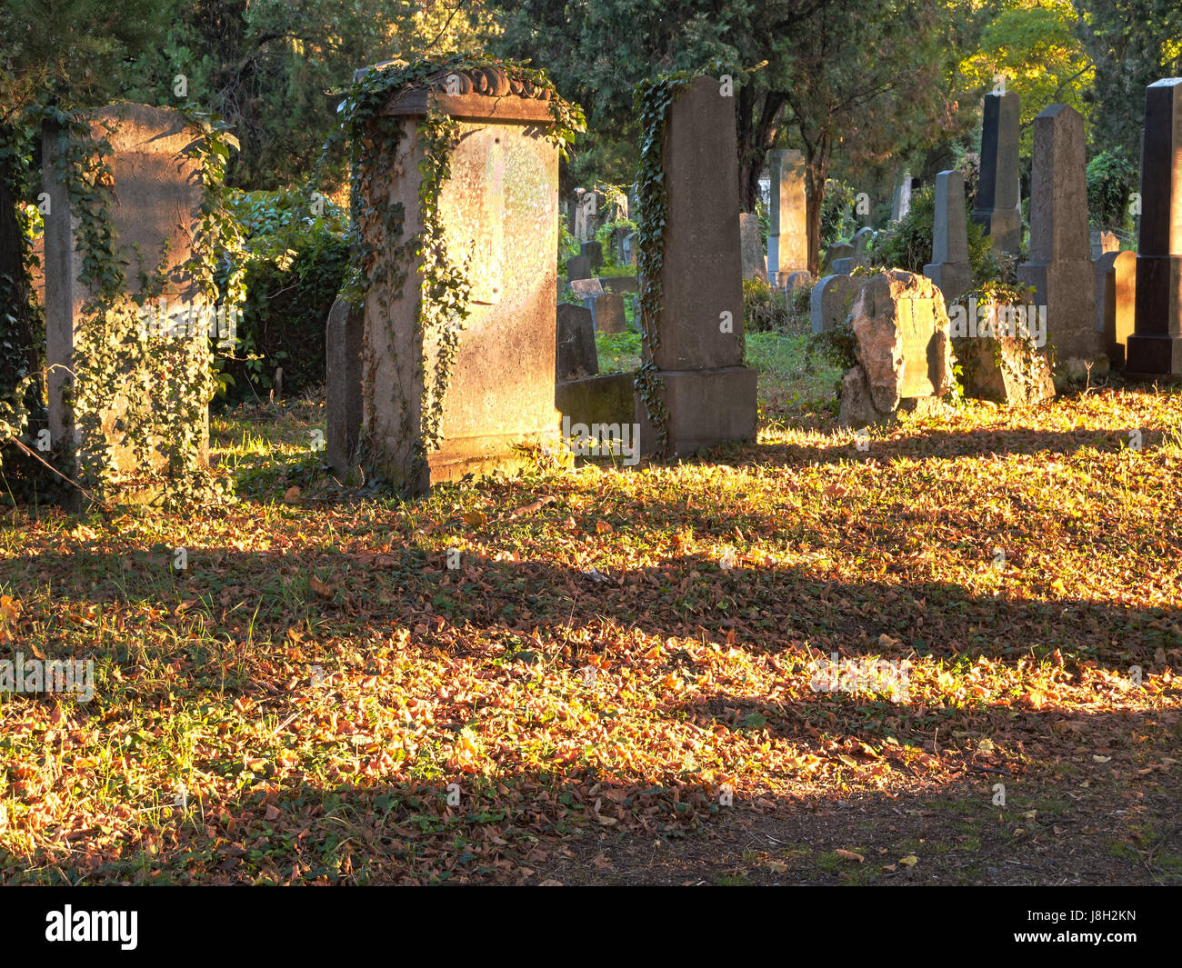 cemetery, jewish, jew, religion, remember, death, autumnal, cemetery ...