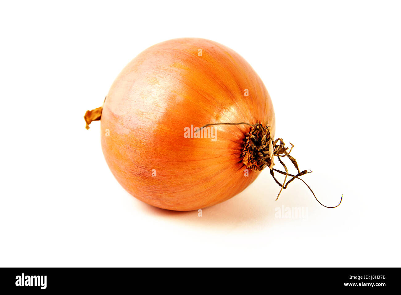 single onion isolated against white background Stock Photo