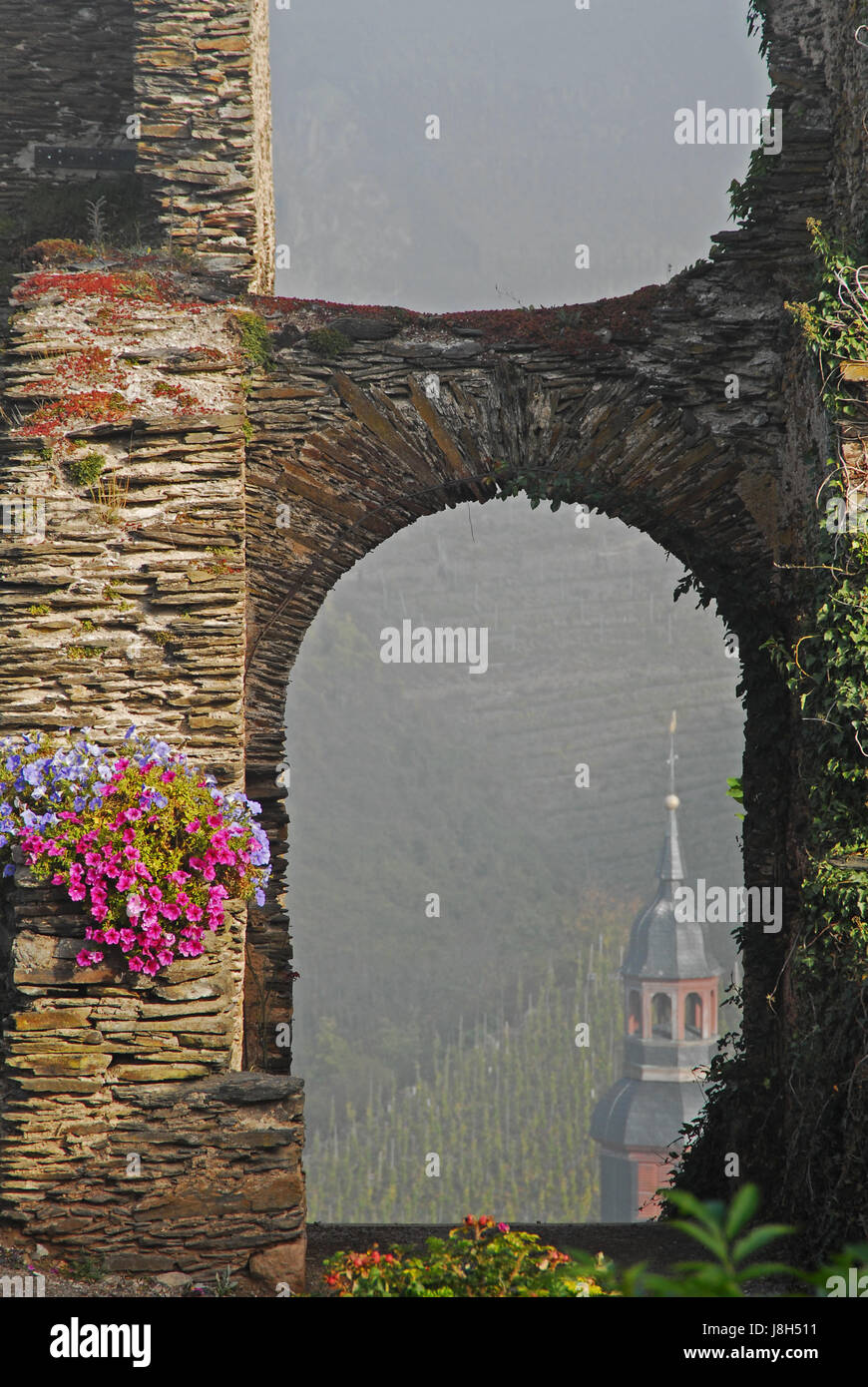 mosel, hatchet stone, chateau, castle, church, flower, plant, fog, flowers, Stock Photo