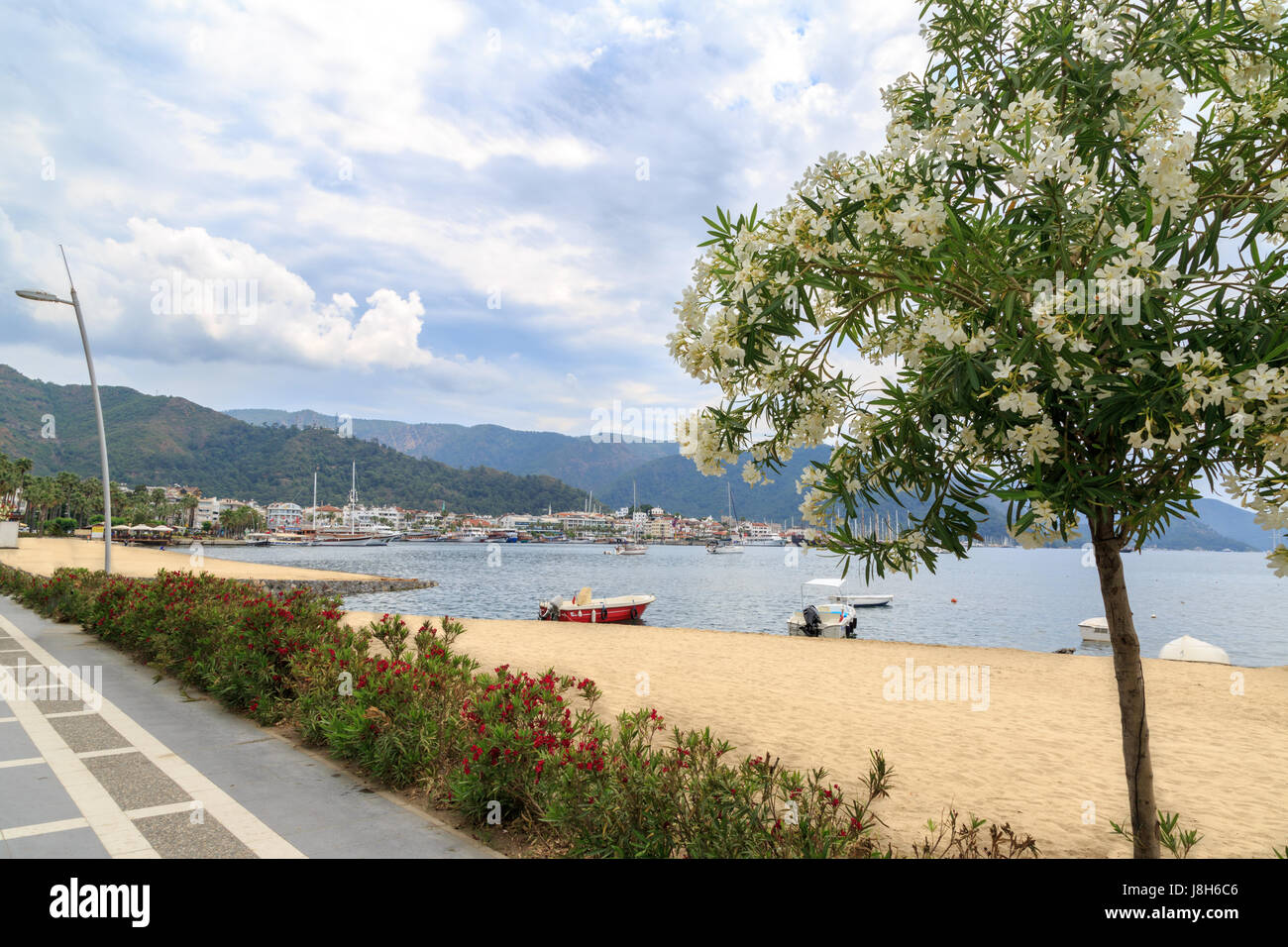 Oleander trees on marmaris beach with city center view Stock Photo