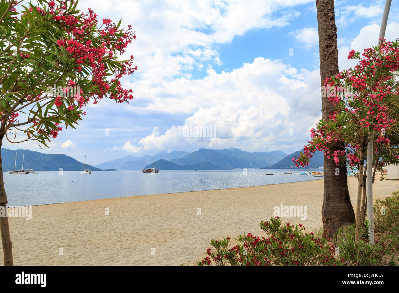 Beautiful beach in Marmaris center among oleander trees and mountains background Stock Photo