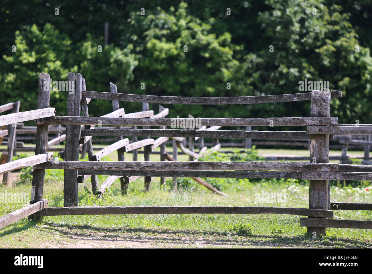 Very old wooden corral fence at summertime rural scene. Shallow depth