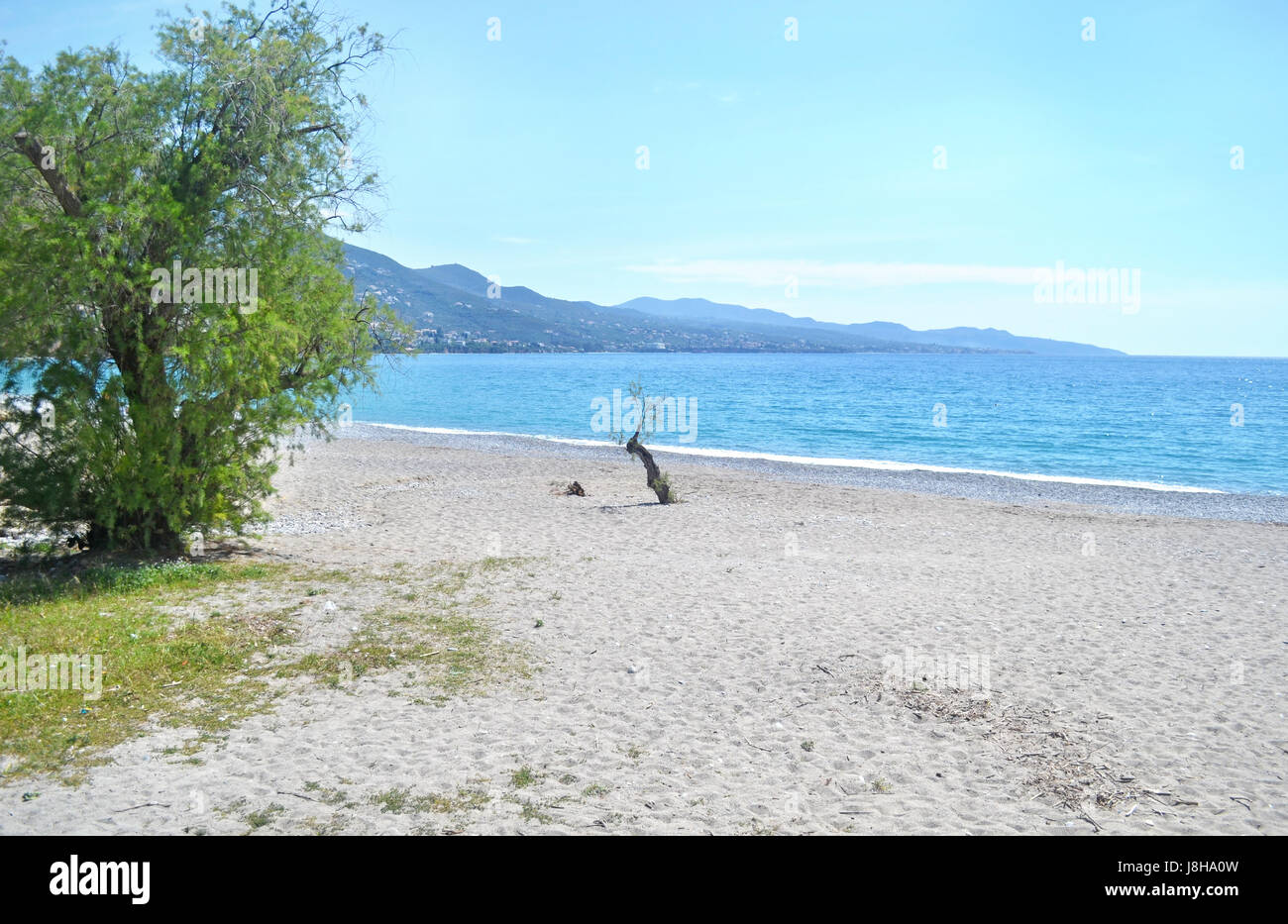 Verga hires stock photography and images Alamy