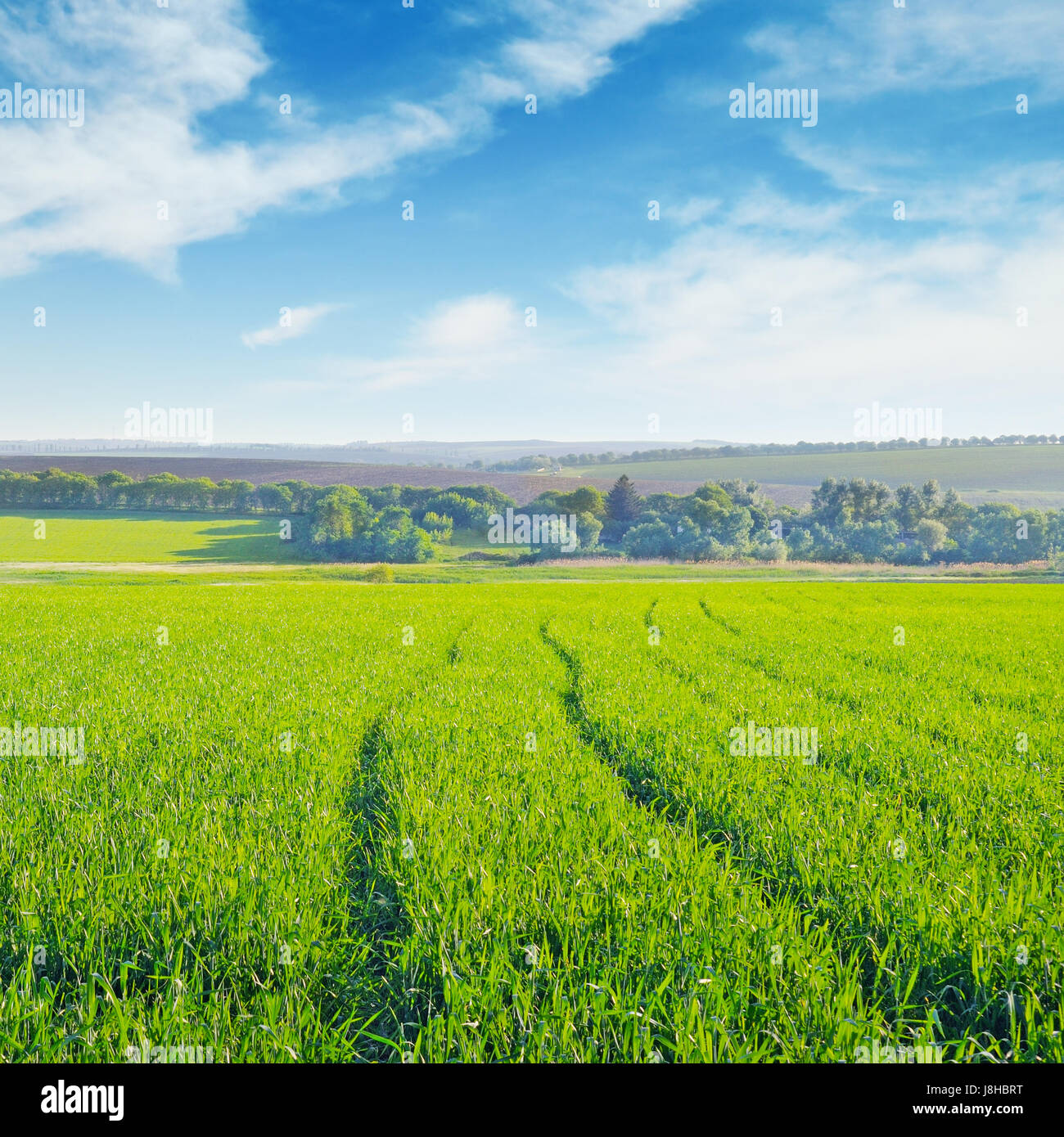green field and blue cloudy sky Stock Photo - Alamy