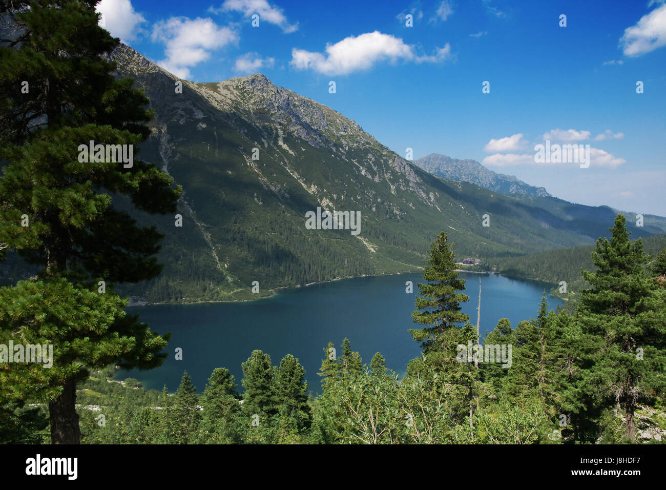 Polishing pond hires stock photography and images Alamy