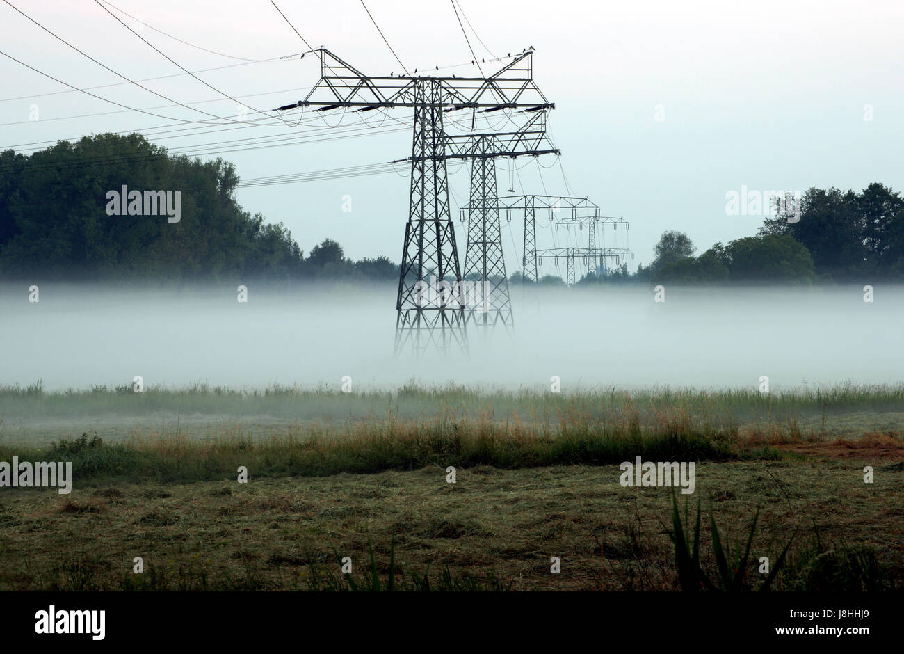 fog, energy supply, future, energy, power, electricity, electric power, save, Stock Photo