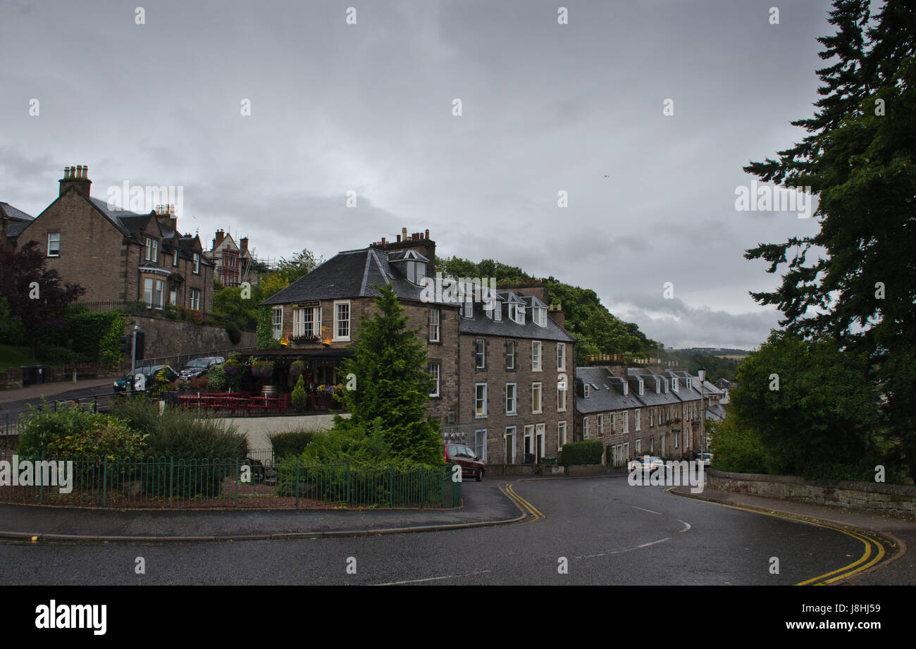 scotland, britain, houses, city, town, tree, trees, green, europe, dismal, Stock Photo