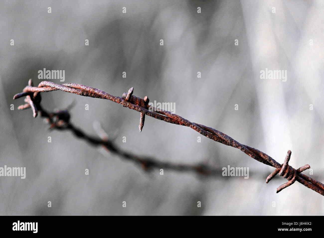 border, wire, fence, fence in, fencing, barbed wire, human rights, put ...