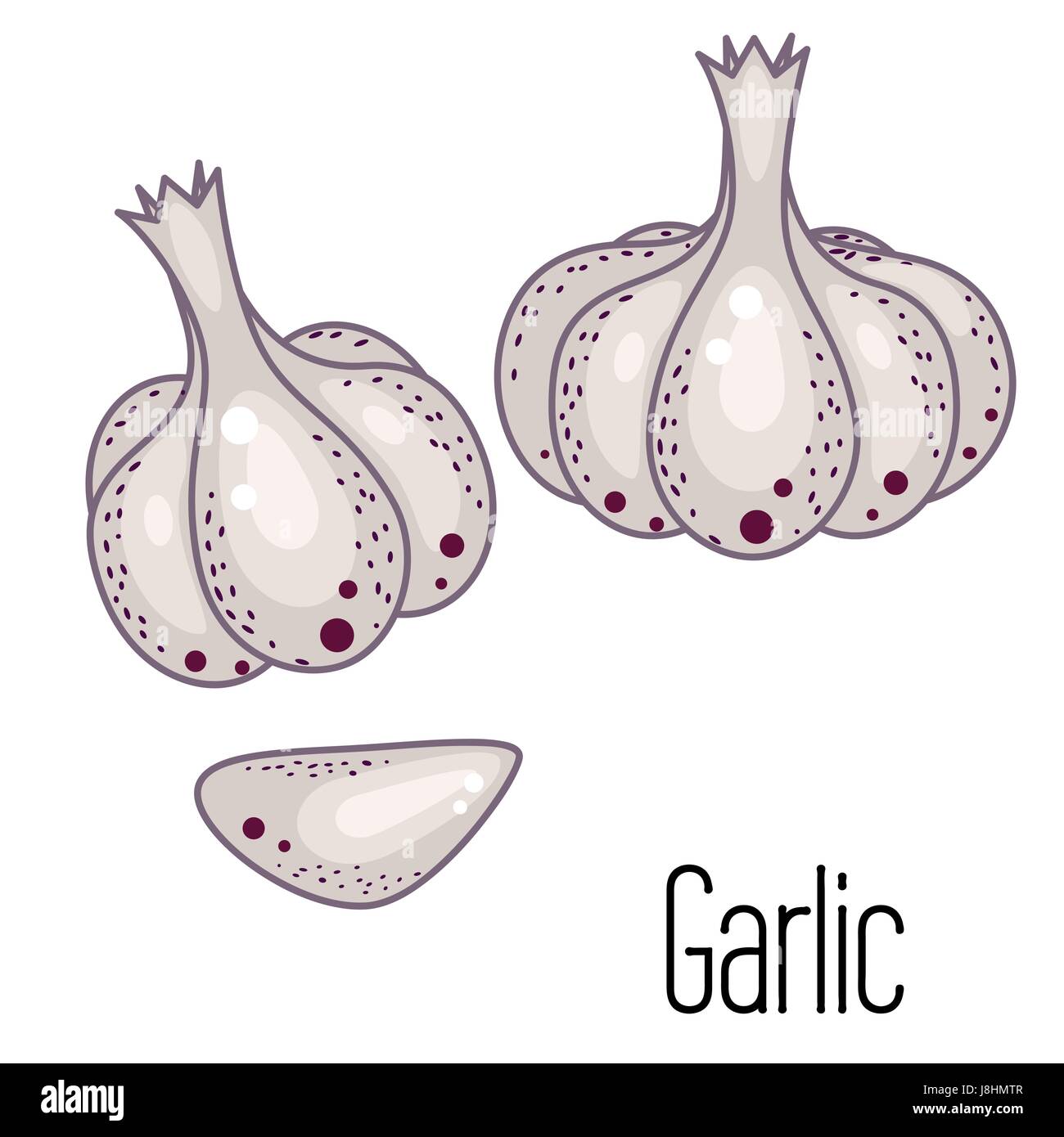 Garlic vector illustration. Garlic clove and bulb condiment icons on white. Stock Vector