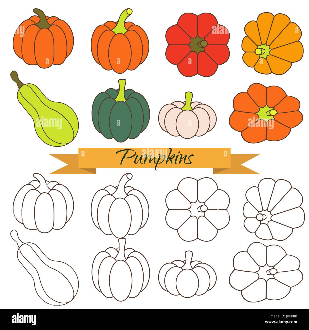Set of pumpkin vegetable vector clip art. Orange and green pumpkin line color icons and outline objects. Stock Vector