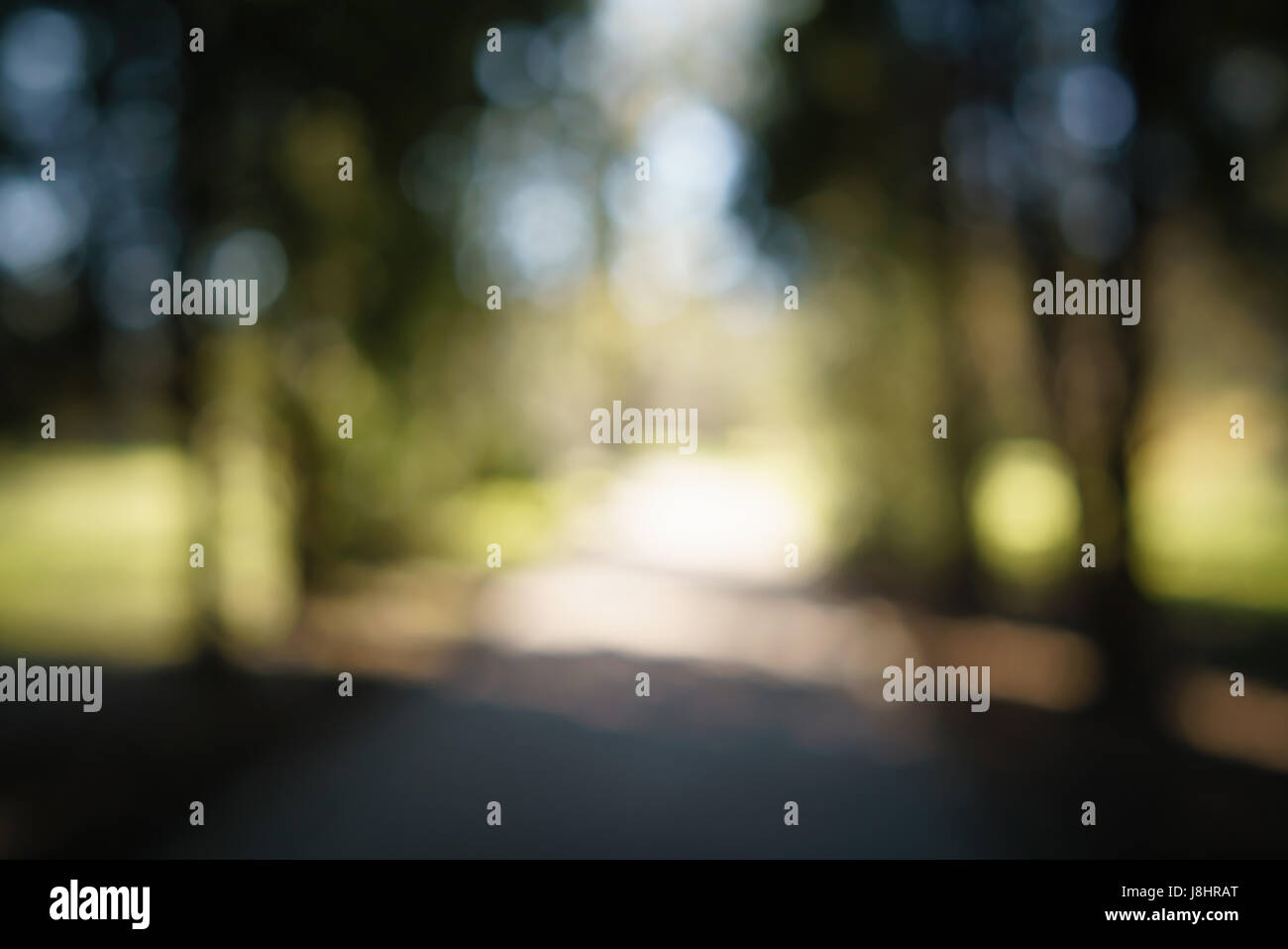 abstract green park or garden blurred background in shadow path Stock Photo