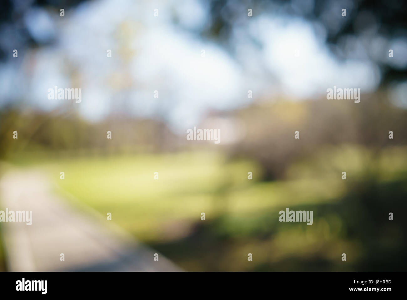 abstract green park or garden blurred background Stock Photo