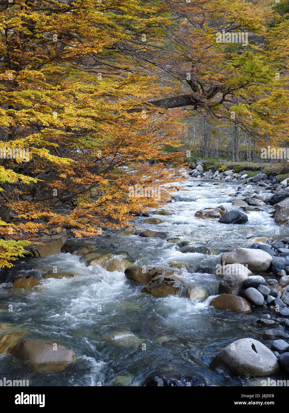 stream, del, fall, autumn, tree, brown, brownish, brunette, cloud, hike ...