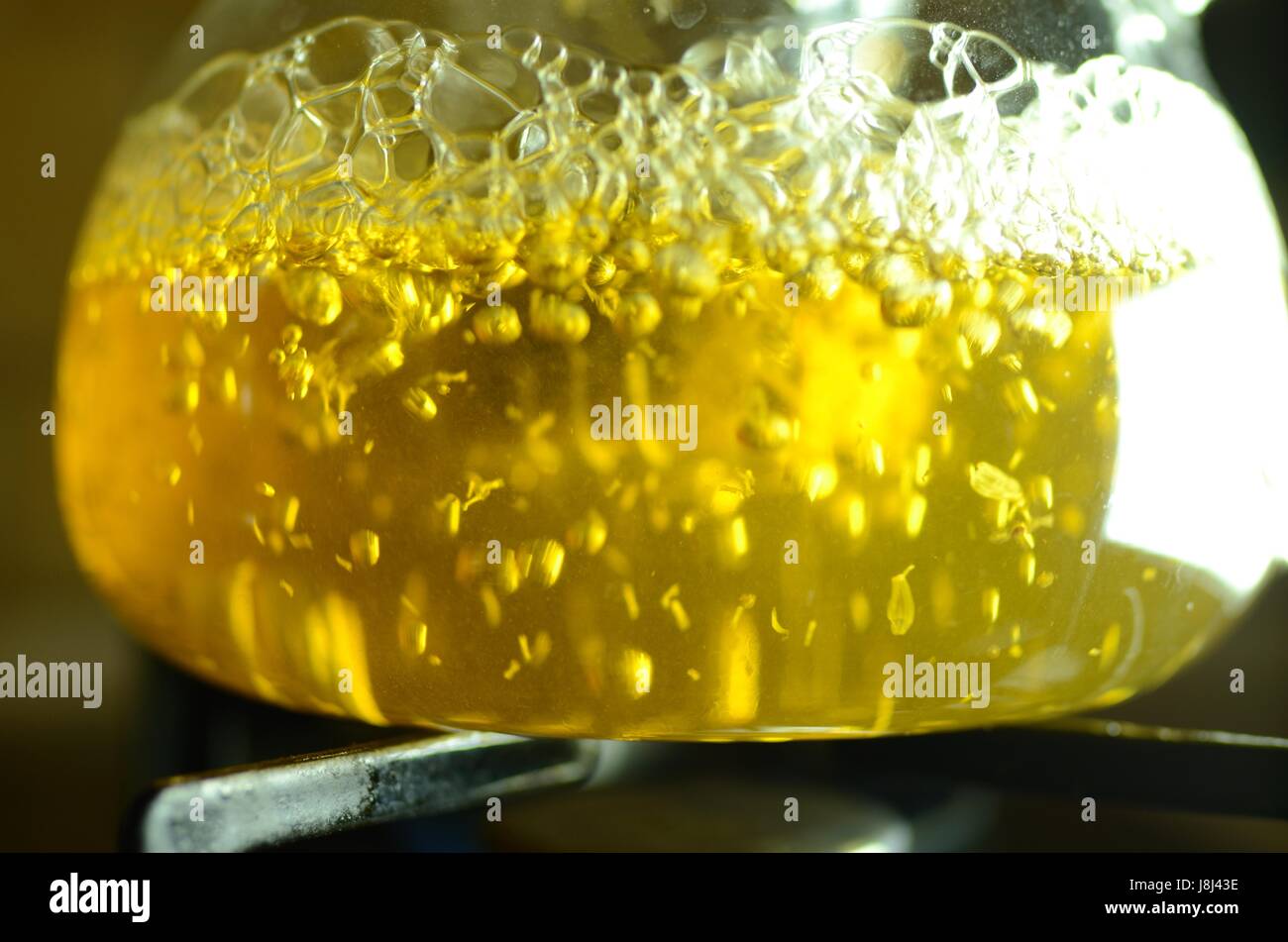 German chamomile hires stock photography and images Alamy