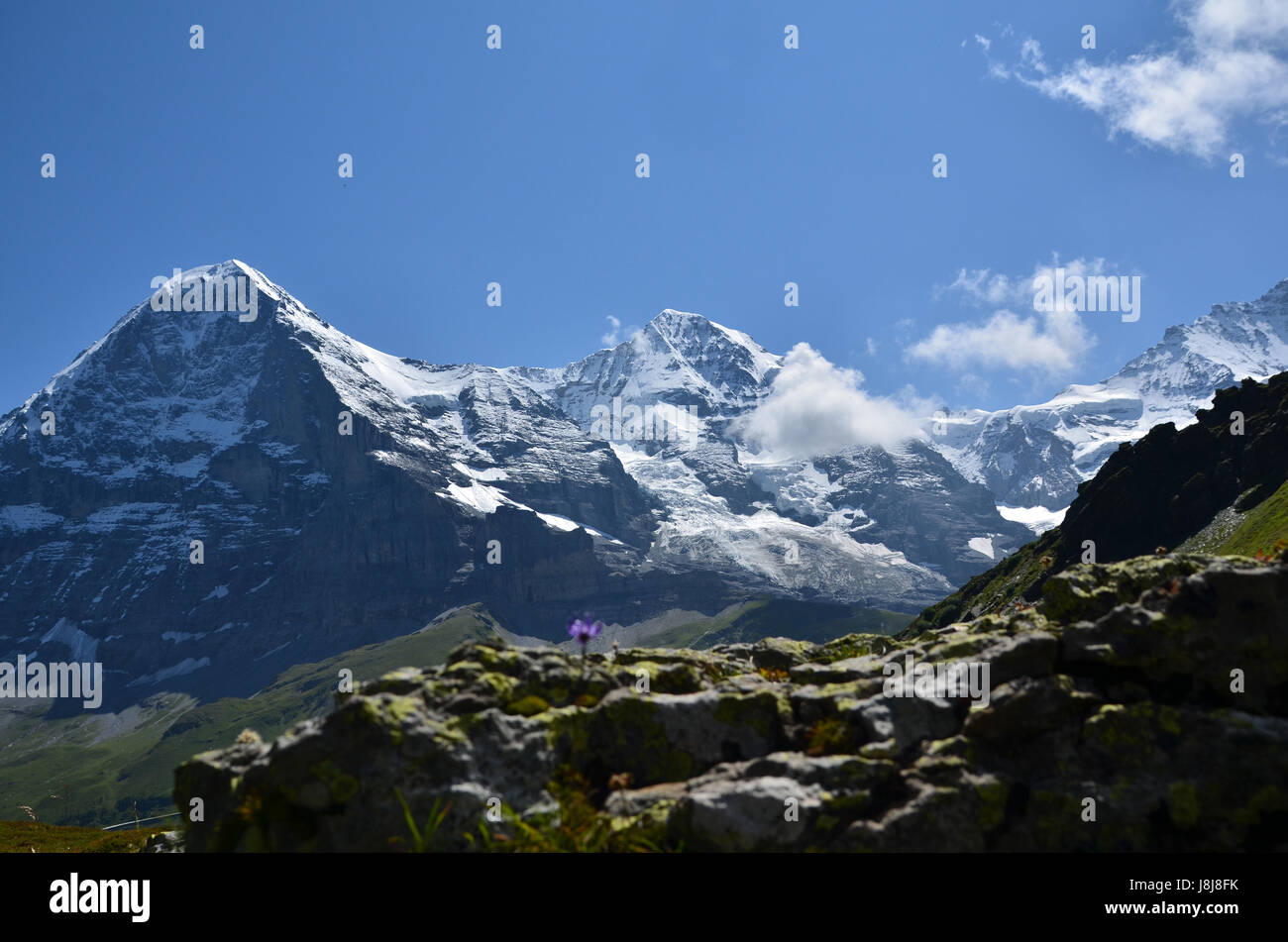 mountains, switzerland, glacier, monk, emblem, big, large, enormous, extreme, Stock Photo