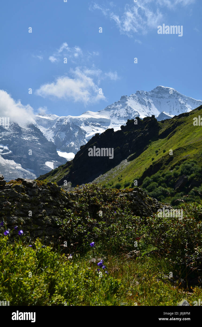 mountains, summit, switzerland, climax, peak, virgin, big, large, enormous, Stock Photo
