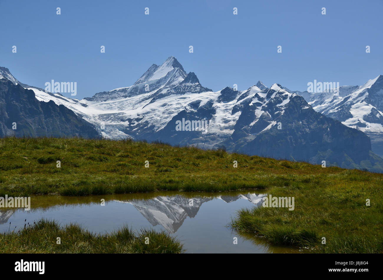 alps, summit, climax, peak, glacier, mountain, big, large, enormous, extreme, Stock Photo