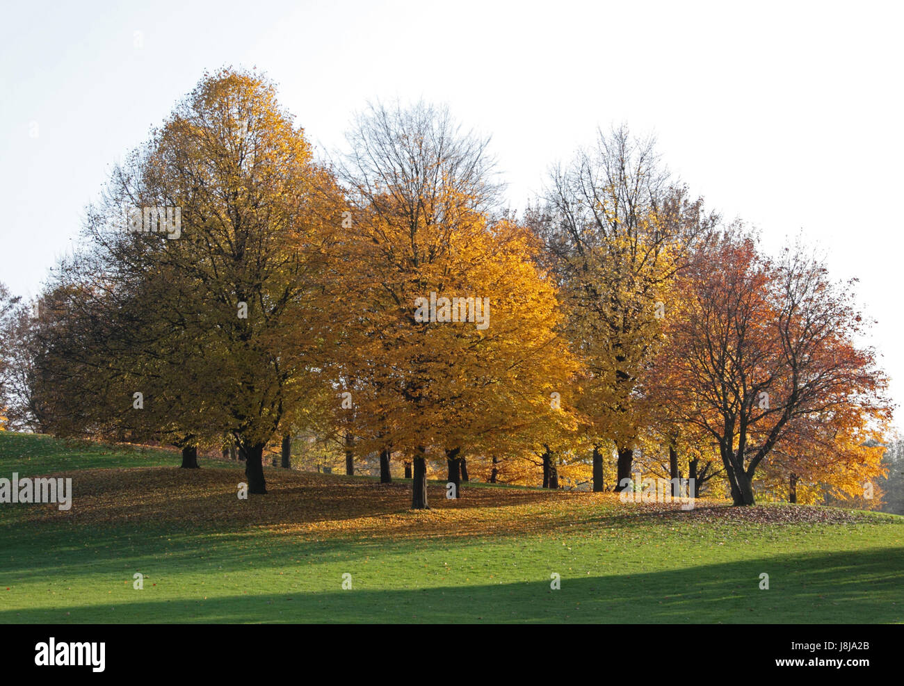 autumn landscape Stock Photo