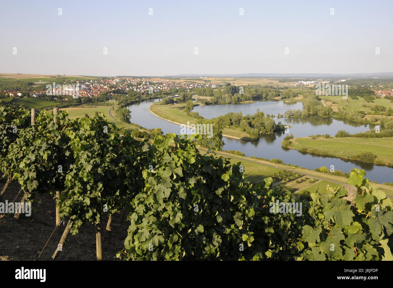 bavaria, river, water, francs, city, town, vineyards, cultivation of wine, Stock Photo