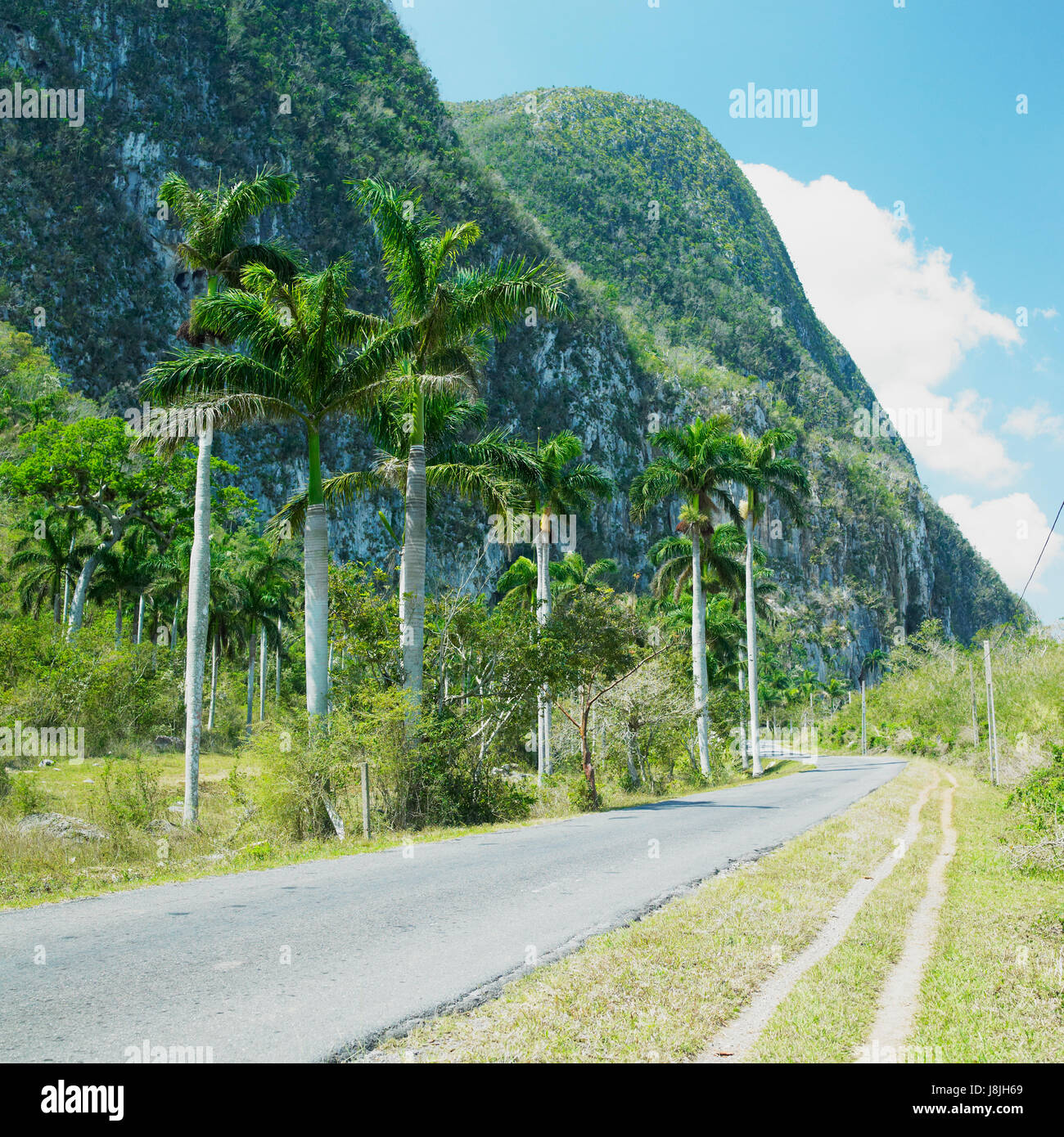 Perle Sæt ud lampe cuba, nature, travel, hill, america, central america, palms, outdoor,  outside Stock Photo - Alamy