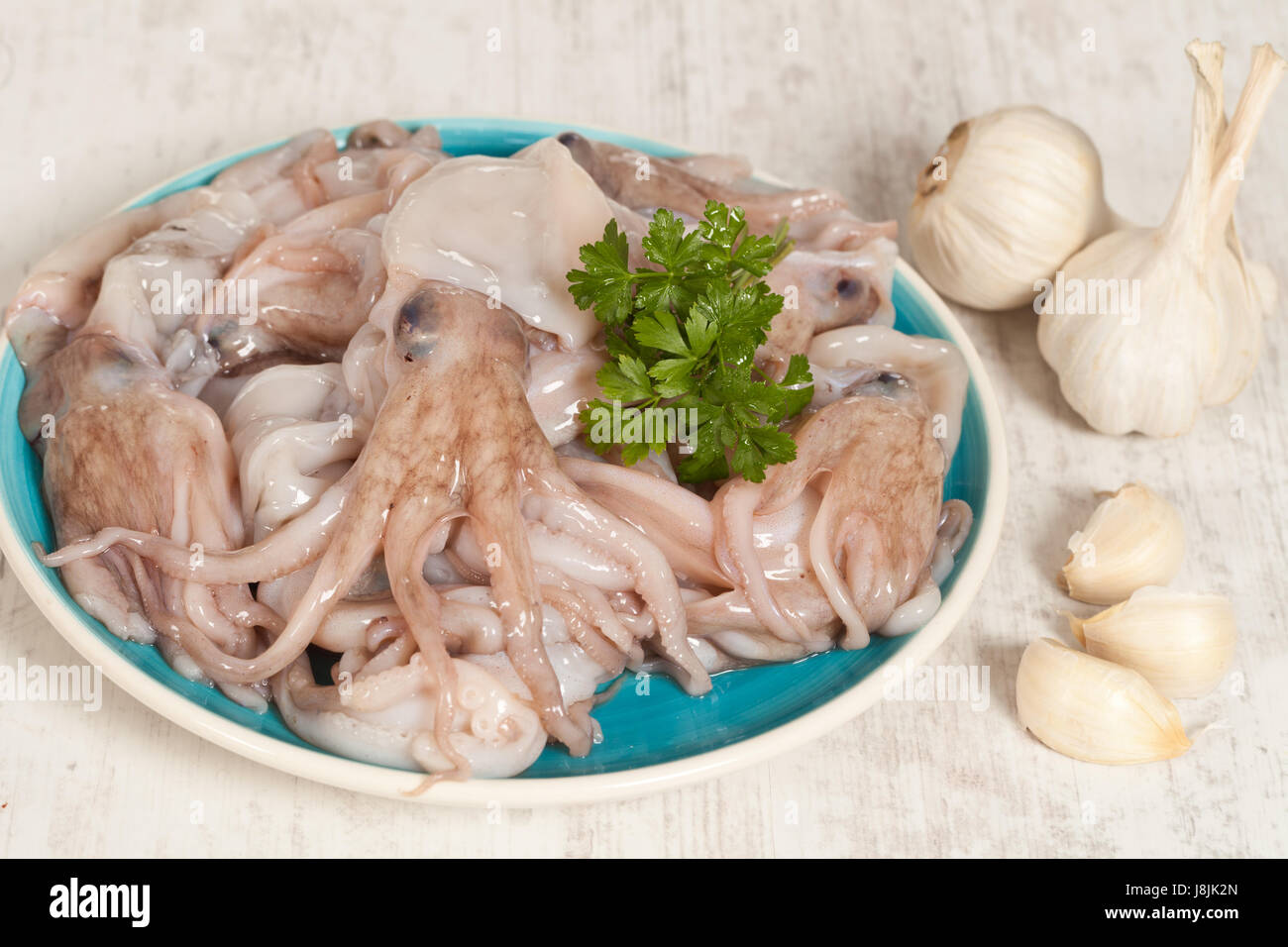 food, aliment, animal, gastronomy, diet, octopus, backdrop, background ...