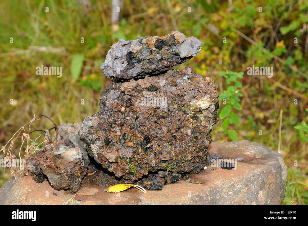 Bog iron hires stock photography and images Alamy