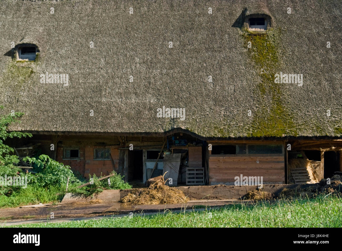 traditional black forest farmstead Stock Photo Alamy
