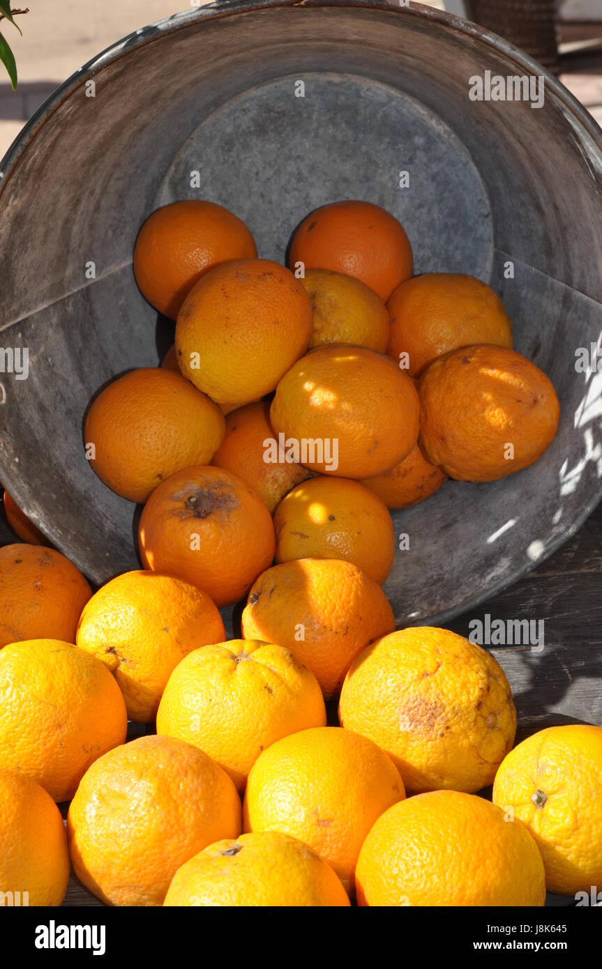 orange, vitamine, progenies, fruits, fruit, oranges, vitamins, vitamines, Stock Photo
