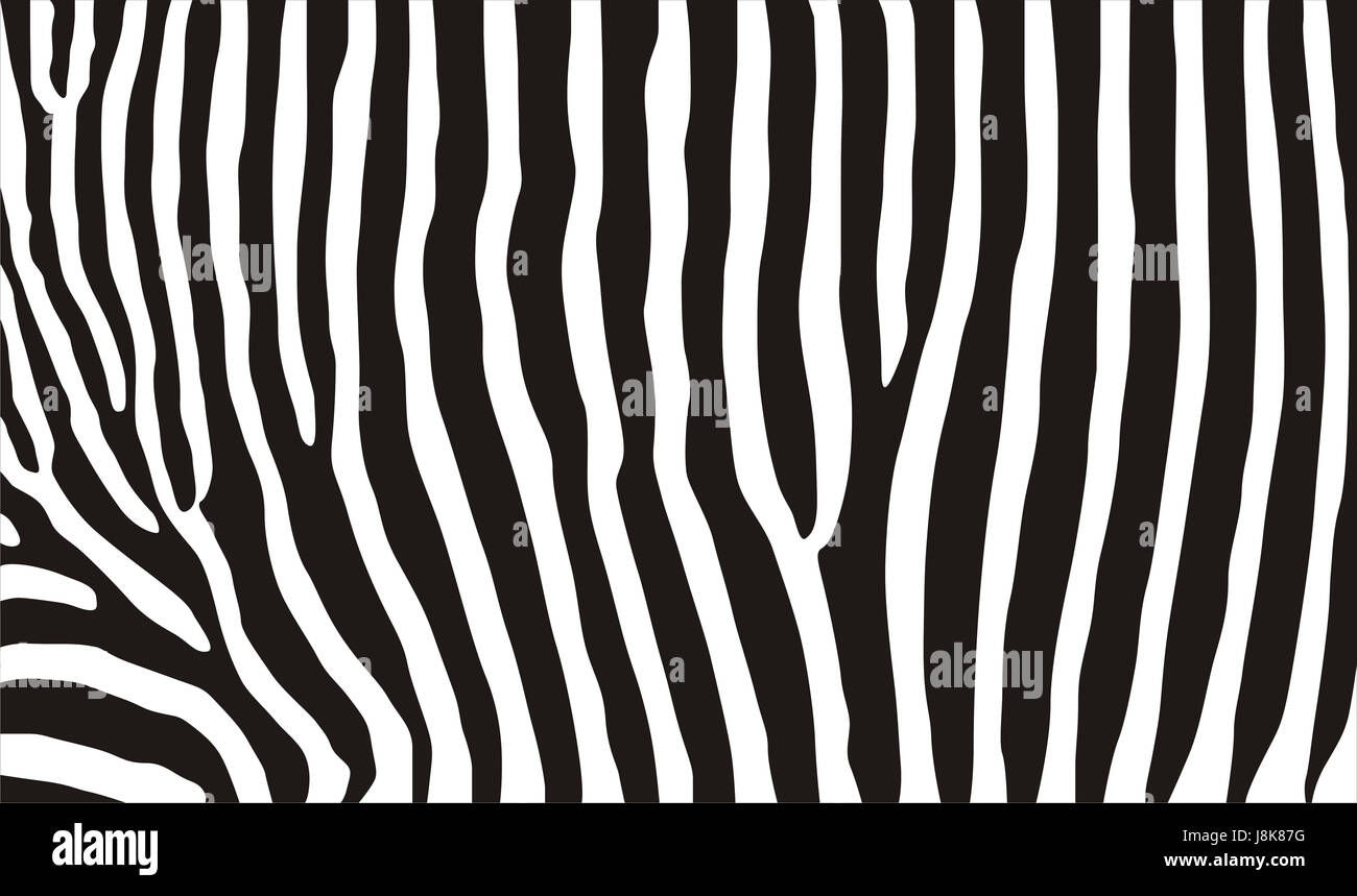 zebra, animal, wild, skin, fur, zebra, print, pattern, backdrop