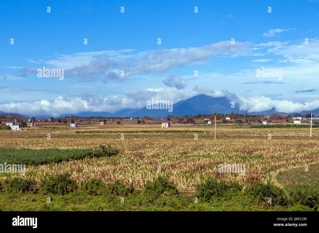 house, building, environment, enviroment, tree, hill, horizon, agriculture, Stock Photo