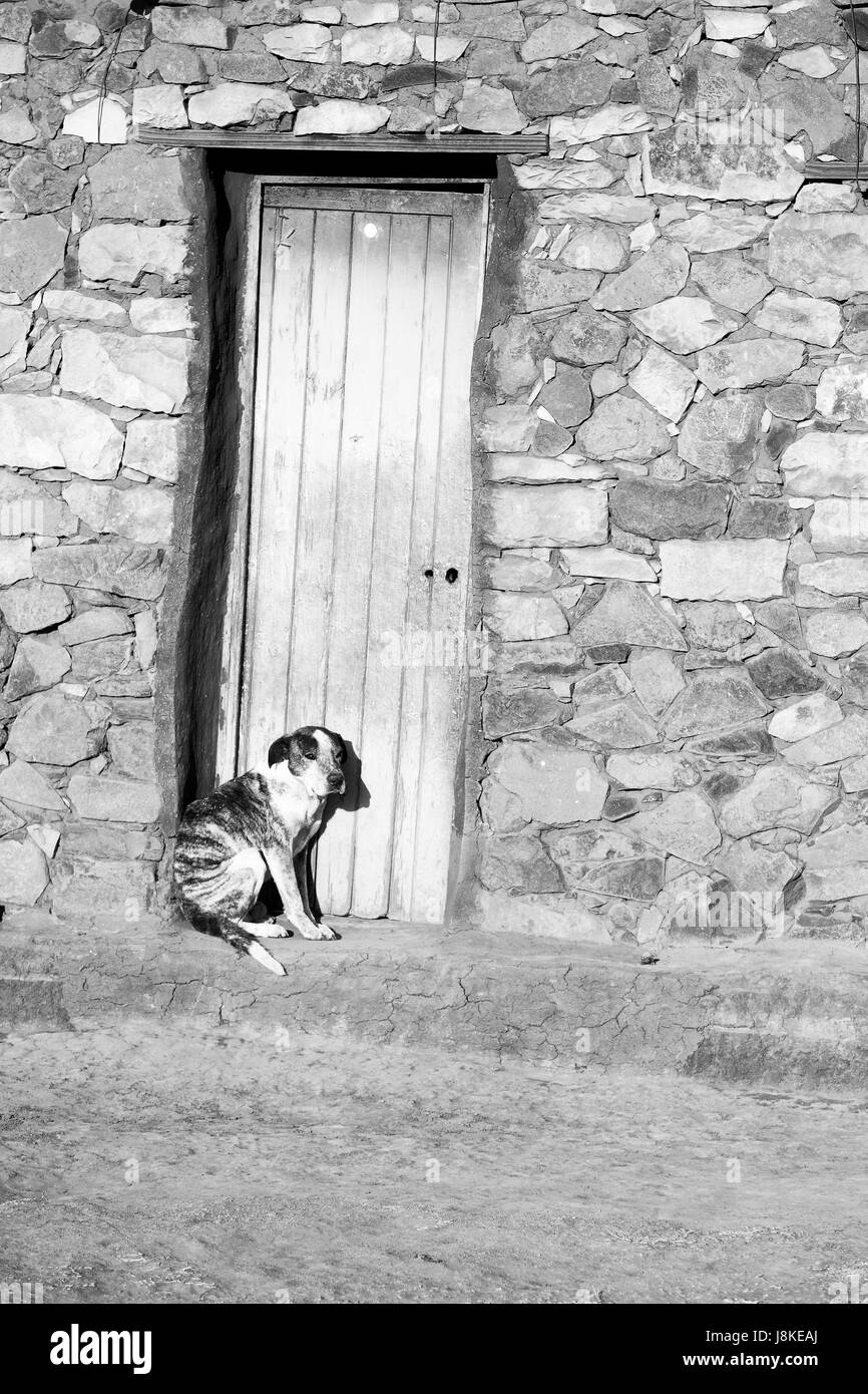 Dog waiting door Black and White Stock Photos & Images Alamy