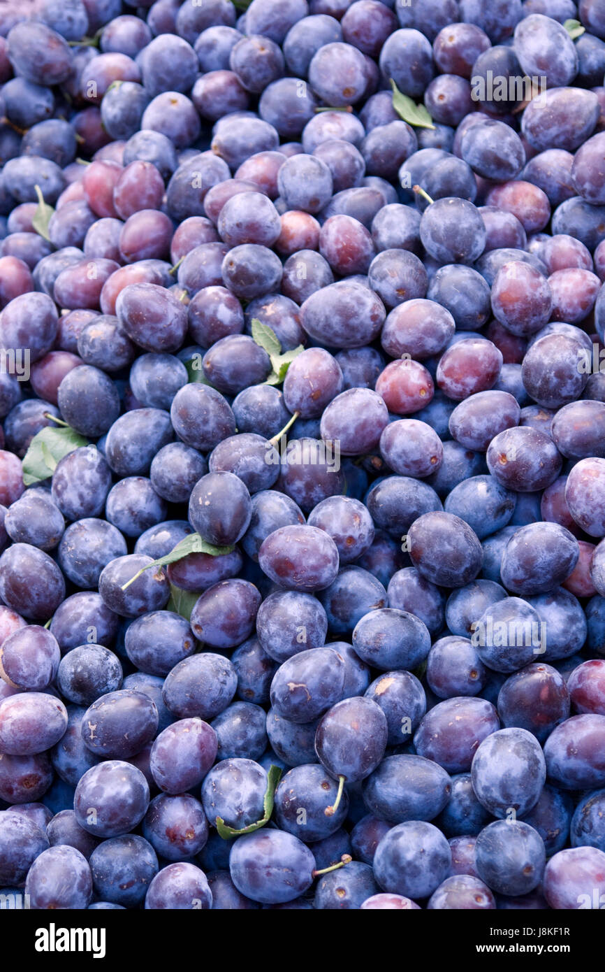 lots of plums Stock Photo Alamy