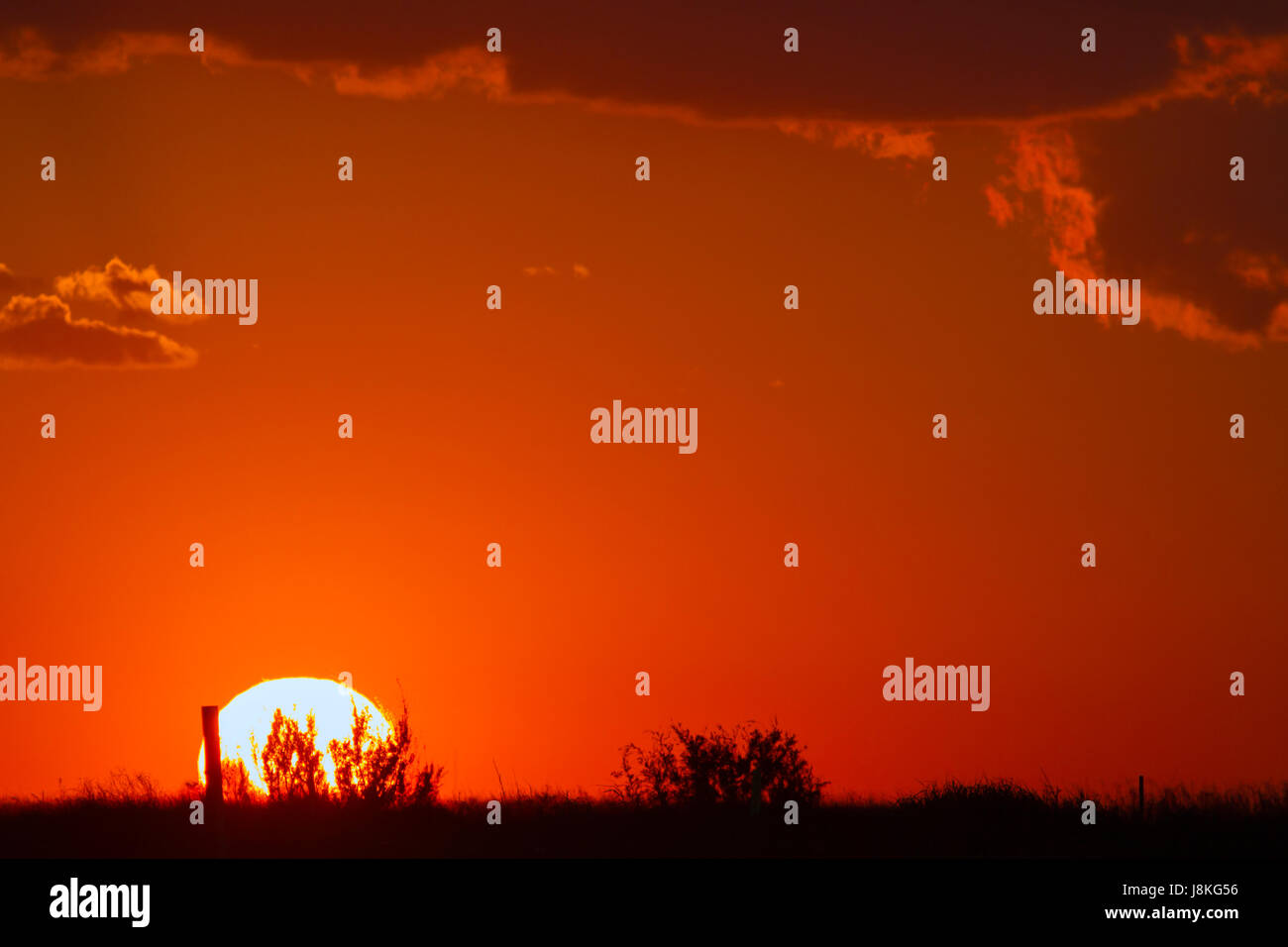 Red Sunset at Galveston beach, Texas. USA Stock Photo