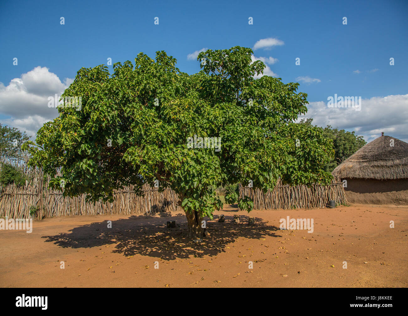 Landscape in an old village, Swaziland Stock Photo