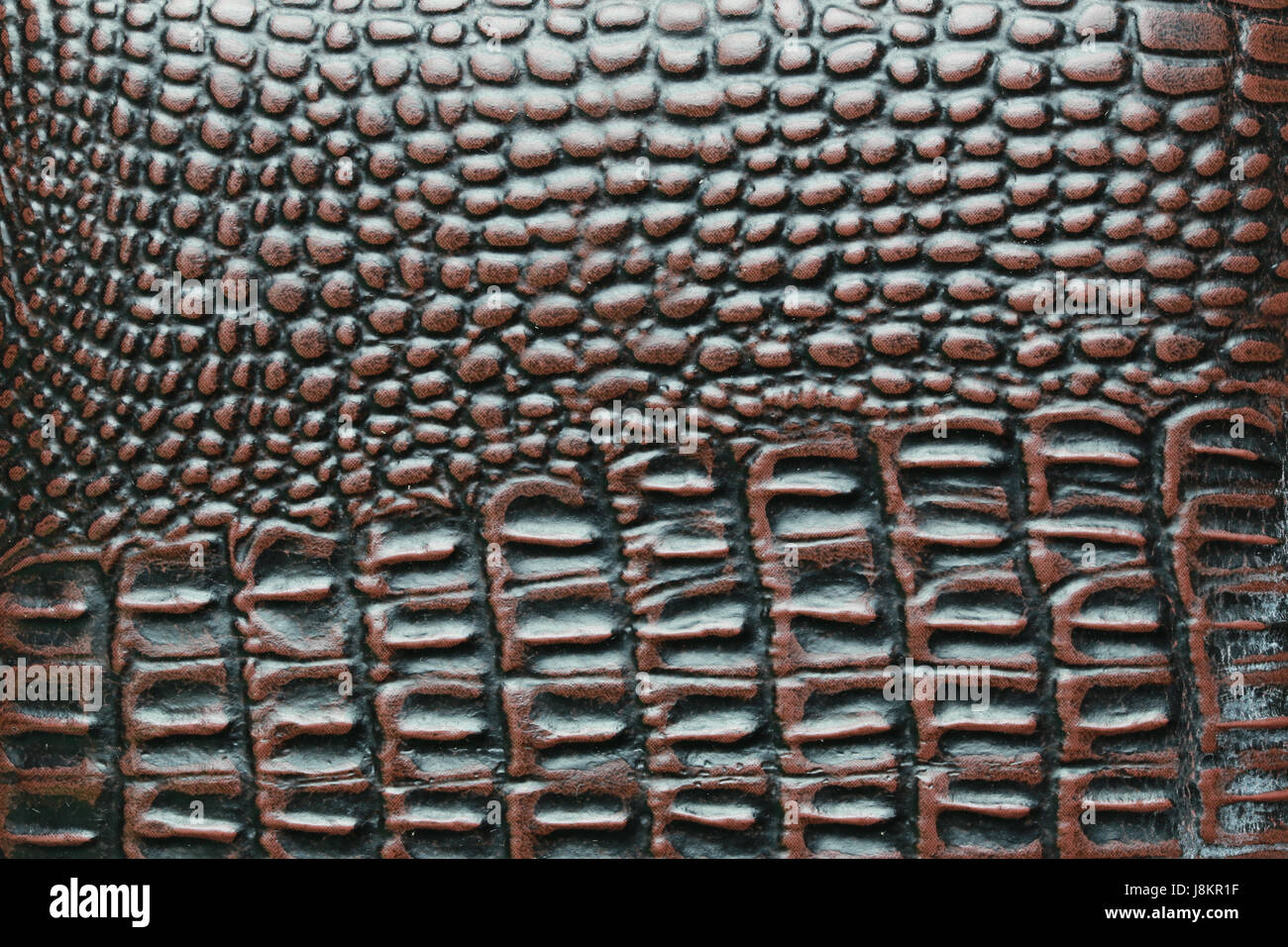 Crocodile skin bag hi-res stock photography and images - Alamy
