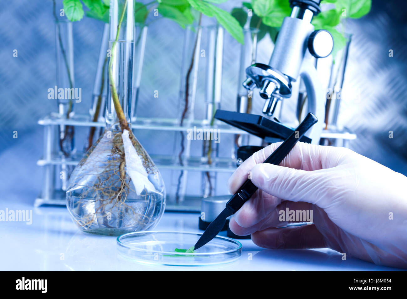 ecology, laboratory, chemistry, recycling, biotechnology, botanical