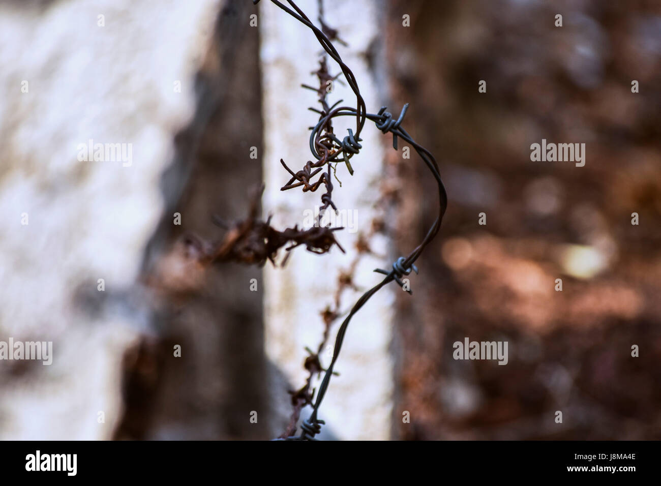 Barbed wire on brick wall hi-res stock photography and images - Alamy