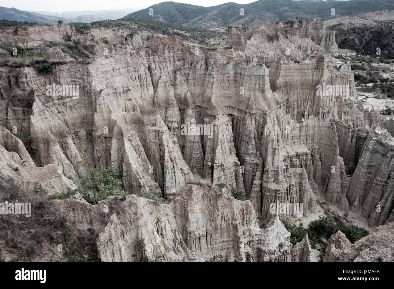 environment, enviroment, ground, soil, earth, humus, asia, loss, dirt ...