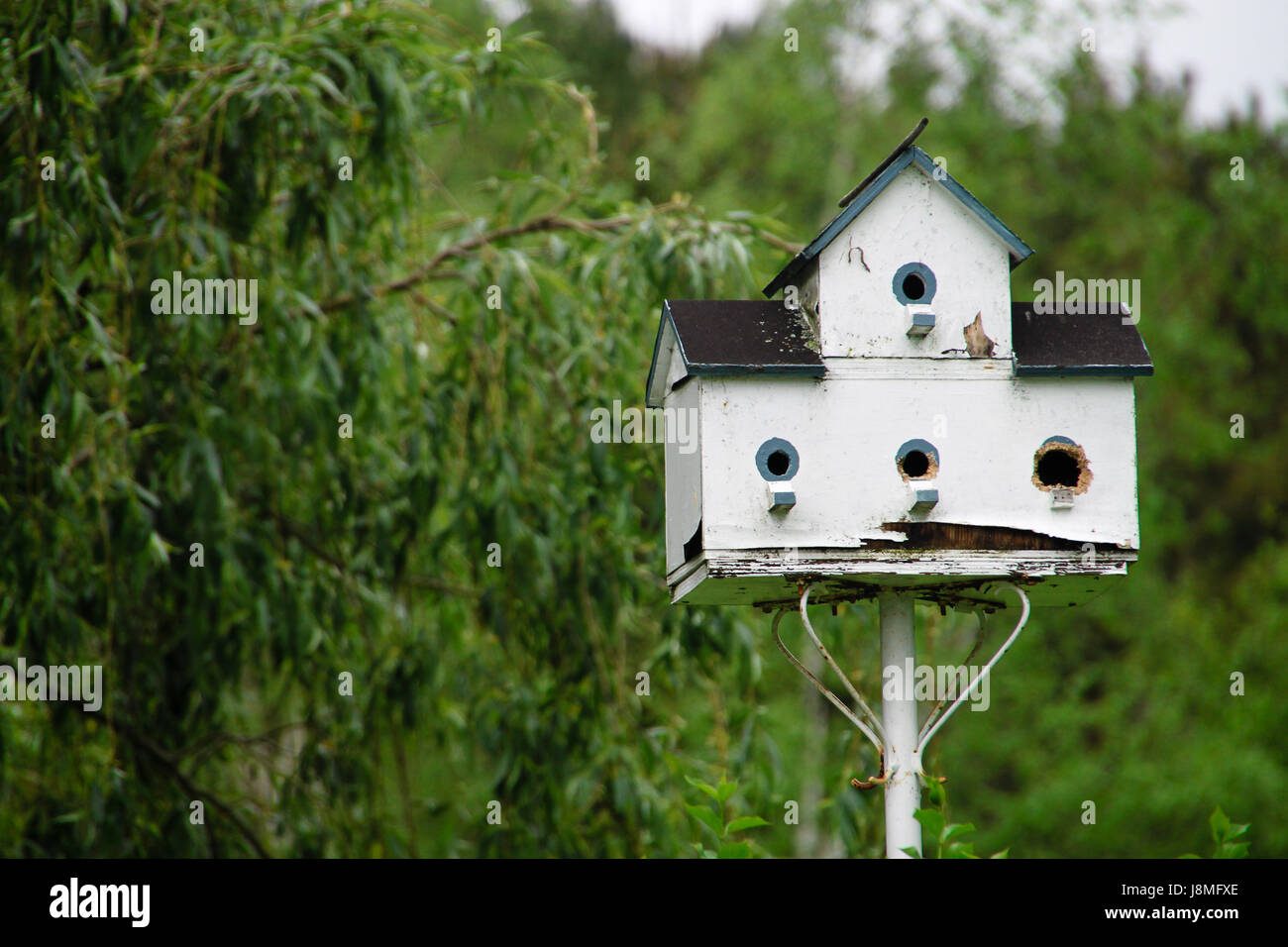 A rustic birdhouse stands in a field in Ontario. Apartment-type nests are preferred by swallows & martins, important shelter for species in decline. Stock Photo