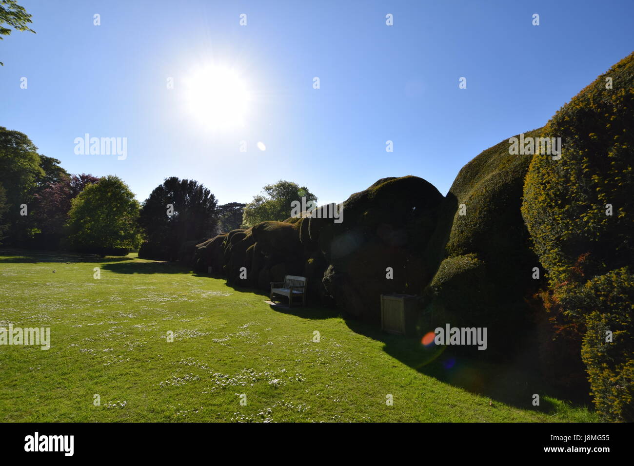 Beauchamp castle hires stock photography and images Alamy