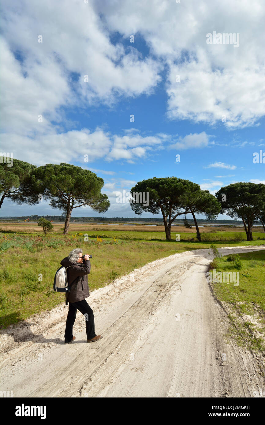 Bird watching at the Sado River Estuary Nature Reserve along beautiful walking trails. Portugal Stock Photo