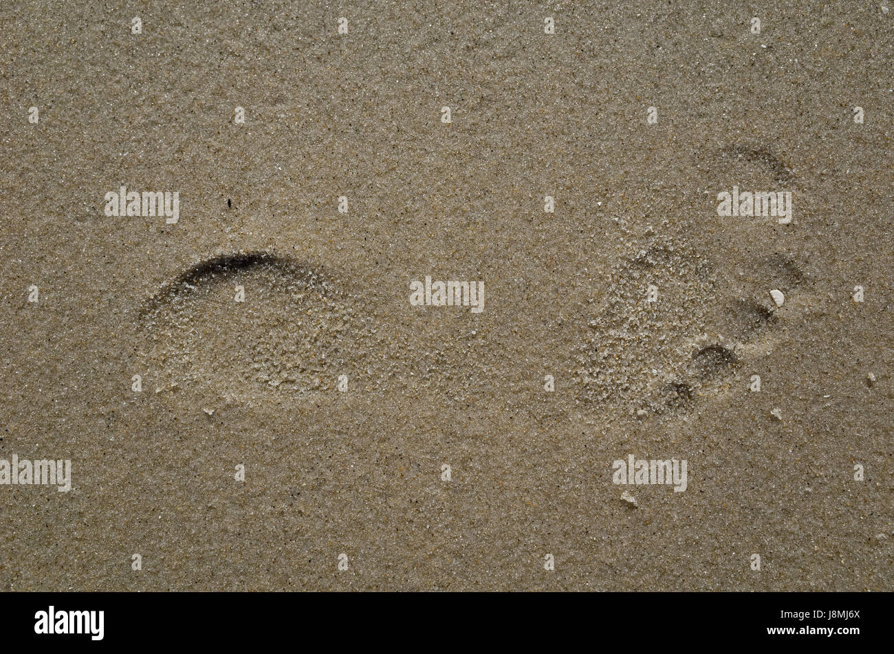 Young girl’s footprint left in the sand on a deserted beach. Stock Photo