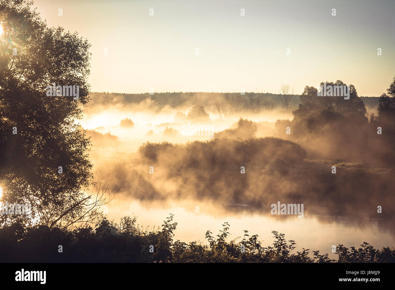 Misty rural landscape during golden hour at river bank in the early ...