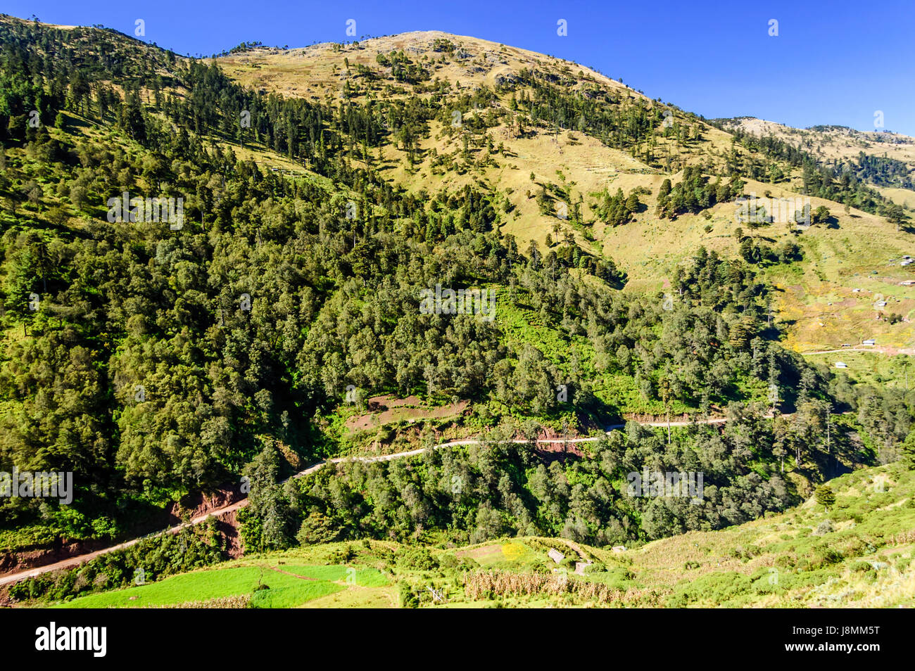 Road winds through forested hills in highlands of Huehuetenango, Guatemala, Central America Stock Photo
